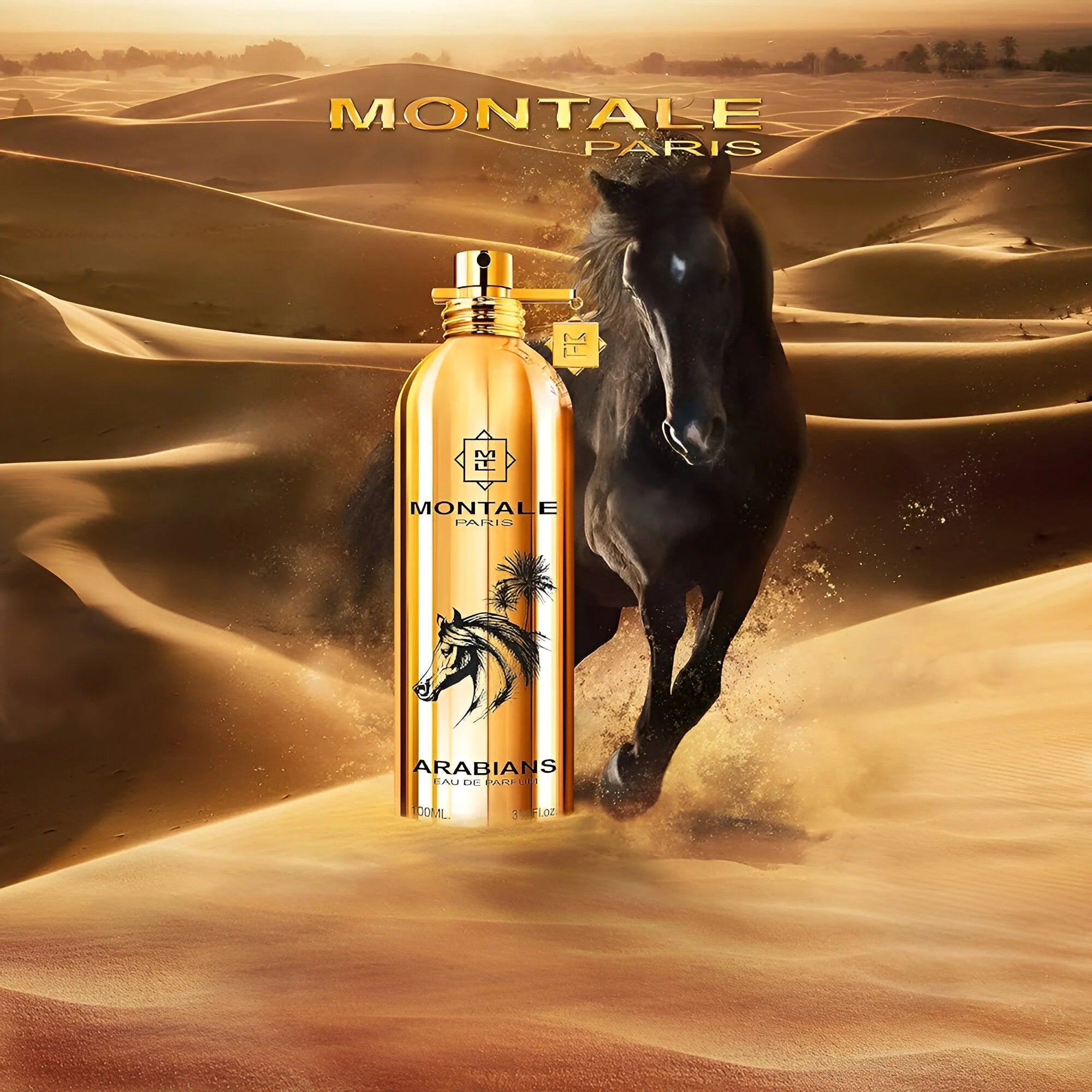 Montale - Arabians
