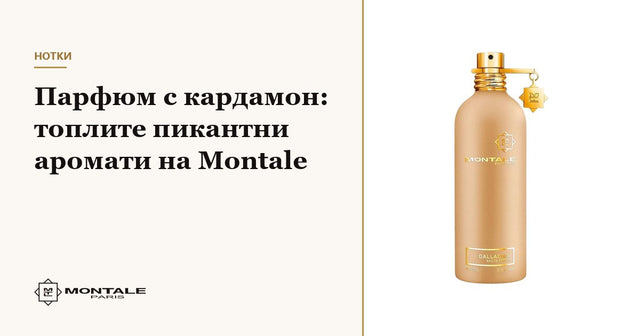 Parfum cu cardamom: aromele calde și picante Montale