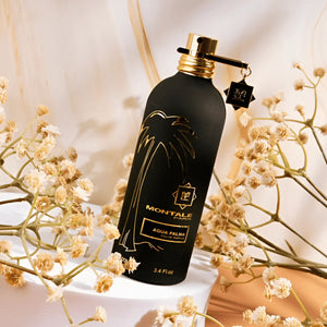 Montale - Aqua Palma