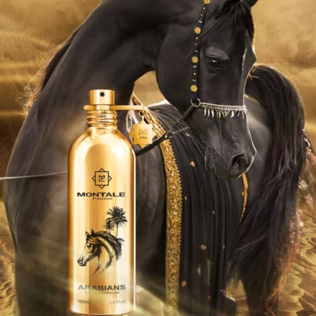 Montale Arabians – φωτογραφία 4