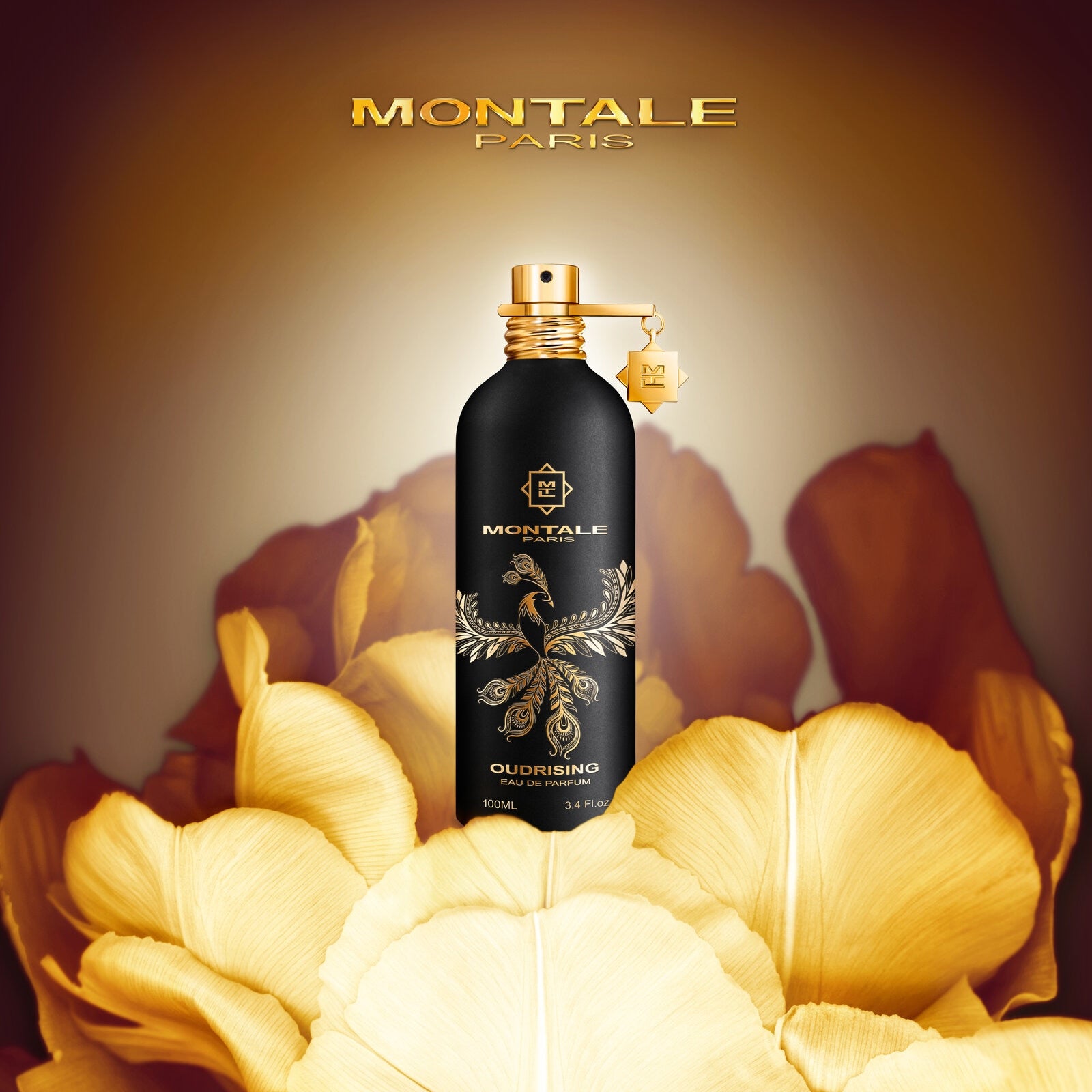 Montale - Oudrising